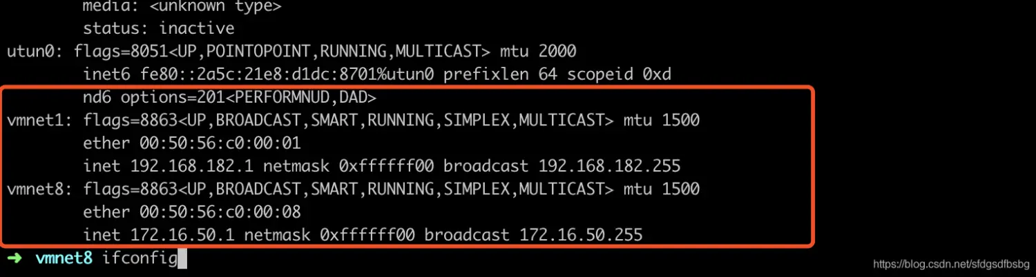 2.webp