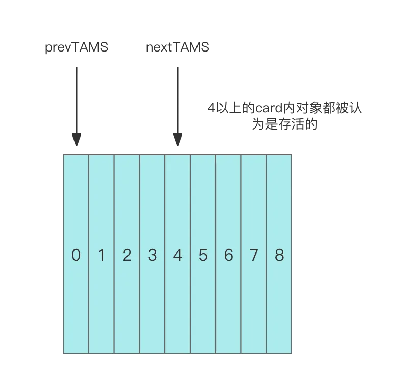 12.webp
