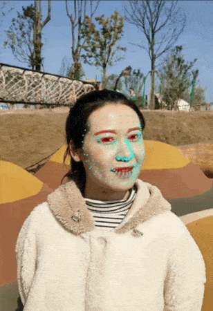 1.gif