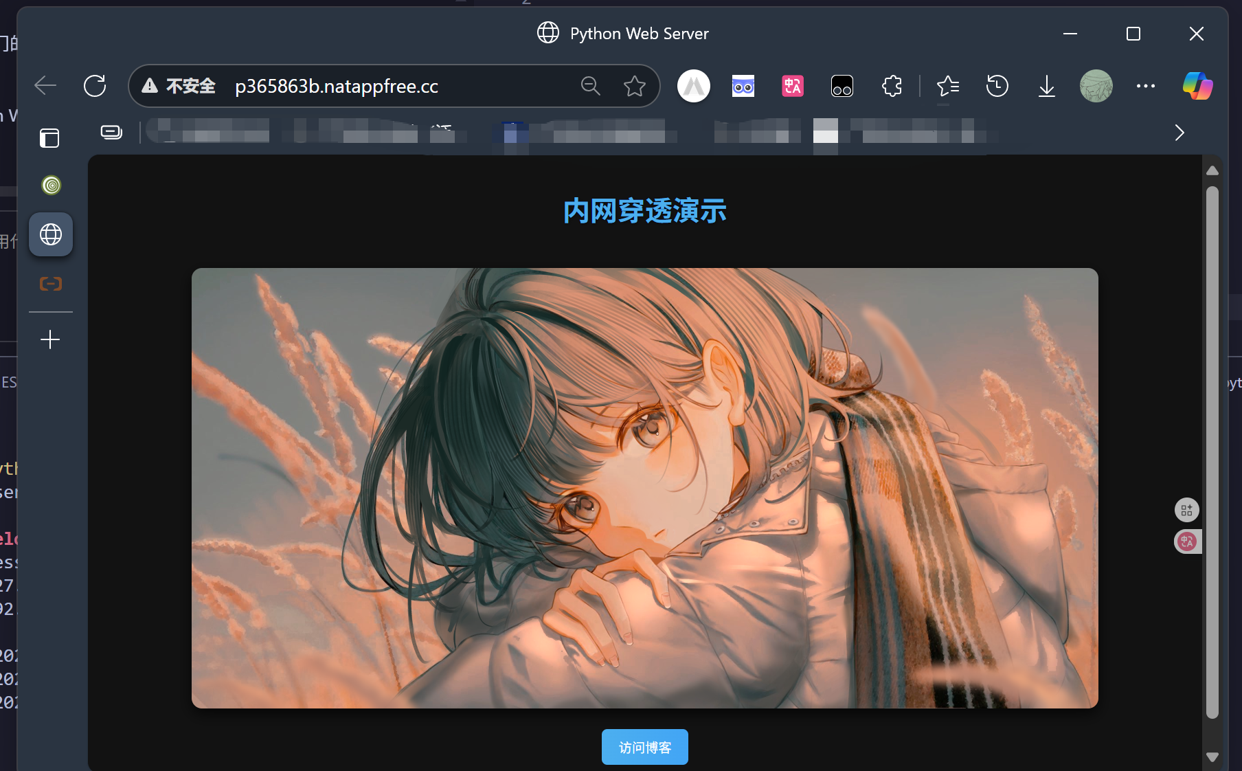 11.png
