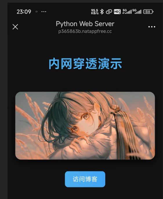12.png