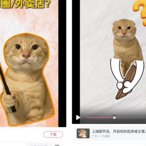 单月狂揽137万粉，B站杀出一匹“涨粉黑马”