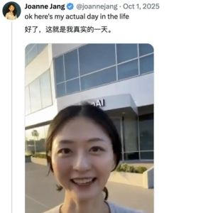 OpenAI女神官宣离职了