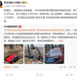 罗永浩谈奔驰豪车被当陪葬品