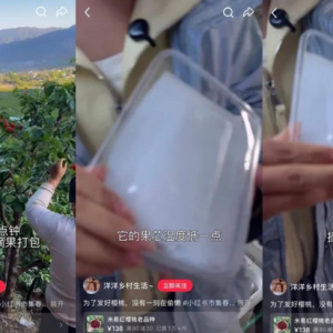 小红书电商正在长出一批不一样的商家