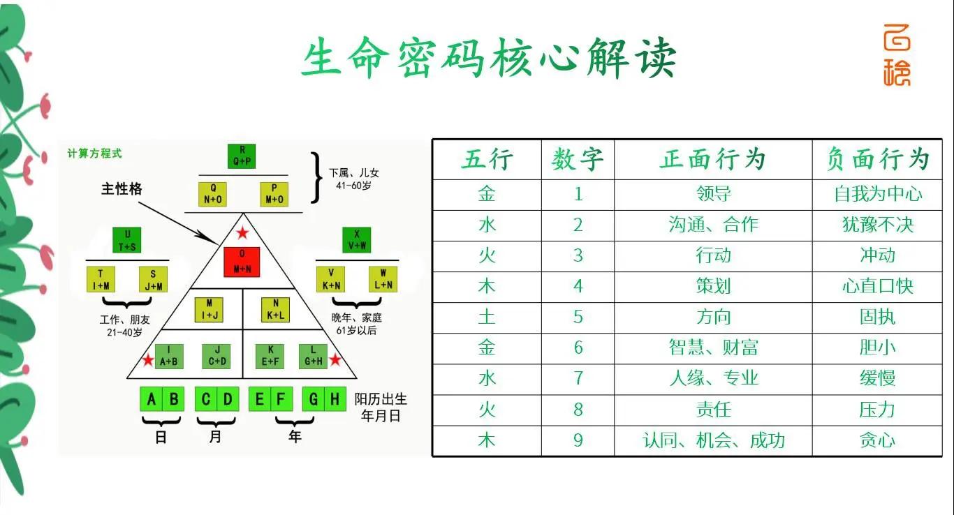 生命科学功法大全,道家功法保养五脏六腑长生不老 生命科学功法大全,道家功法保养五脏六腑长生不老