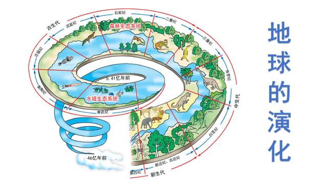 生态学属于地球科学,生态学属于生物科学吗