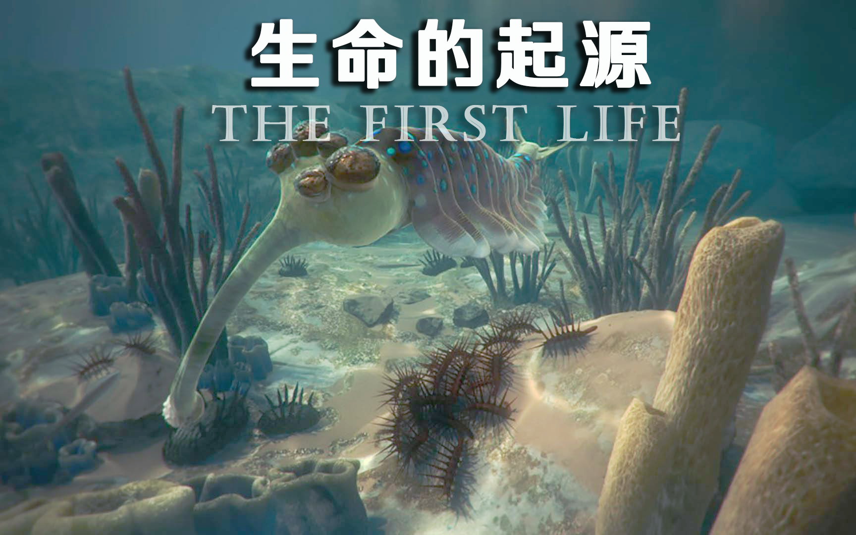 地球科学的机遇,地球科学进展1999