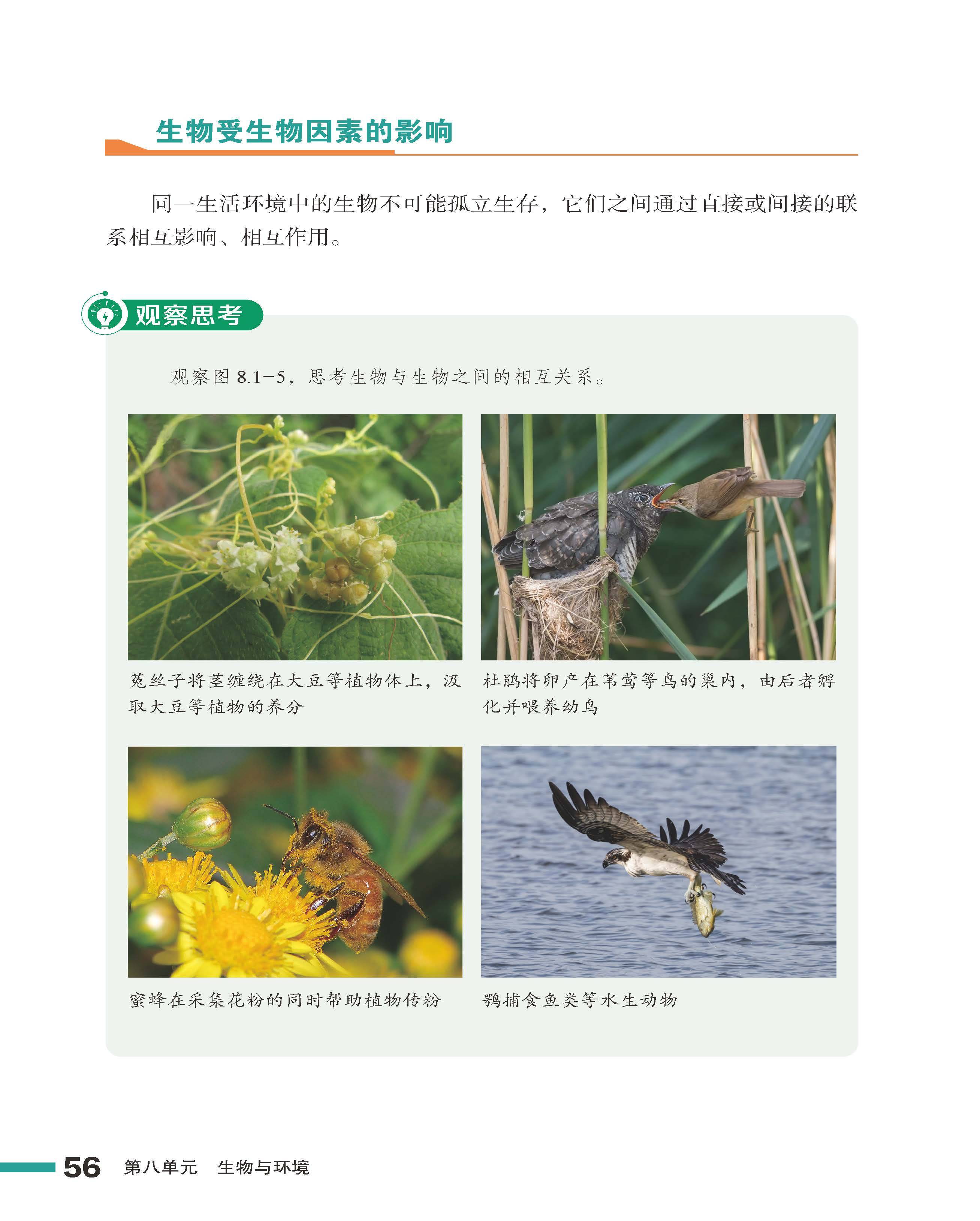 生物就是生命科学,生物科学属于生命科学吗 生物就是生命科学,生物科学属于生命科学吗