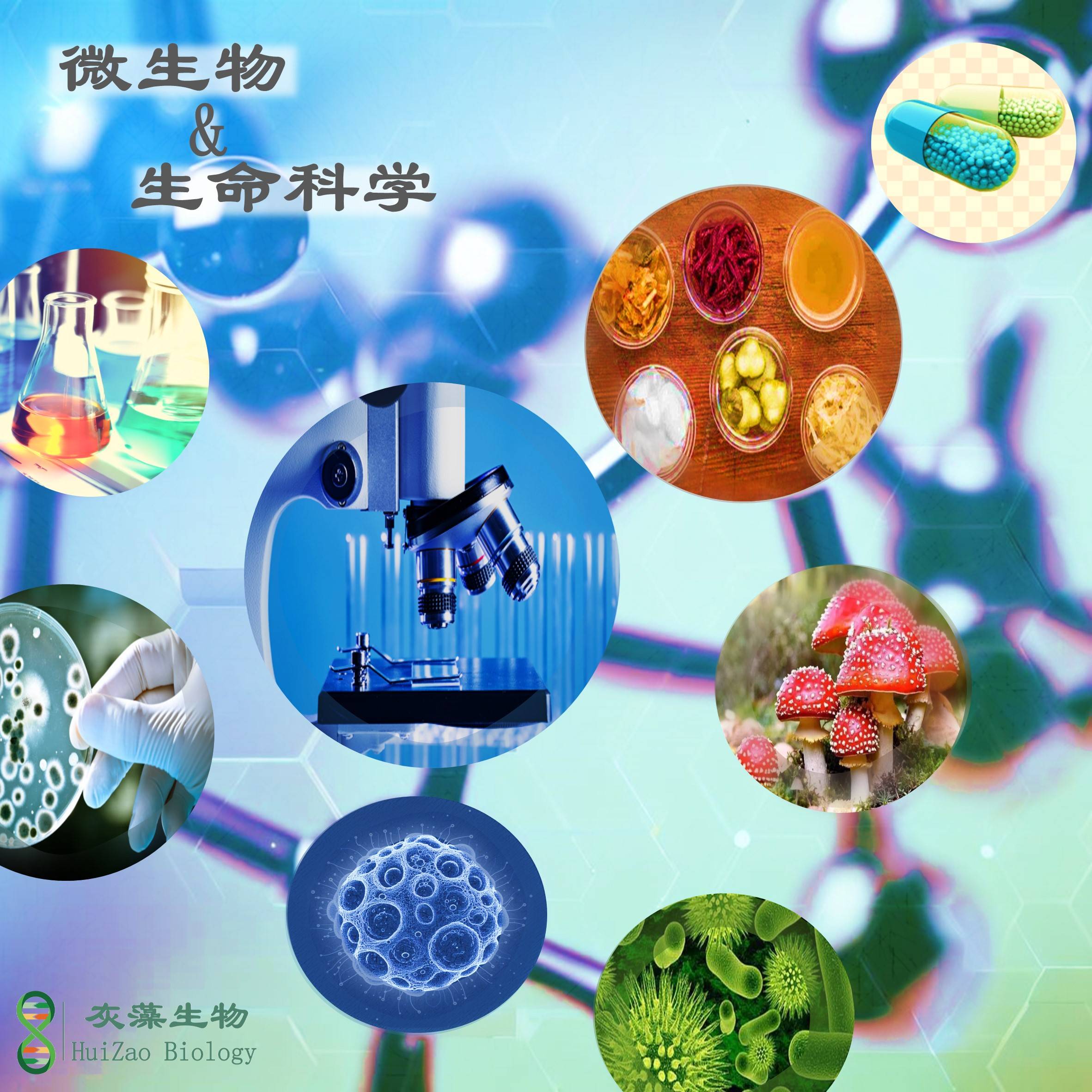 株式会社的生命科学,山本集团日本生命科学研究所 株式会社的生命科学,山本集团日本生命科学研究所