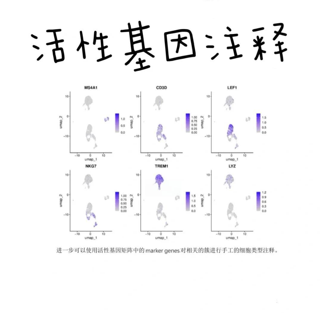 生命科学园肿瘤测序,国内排名前十的肿瘤基因检测公司