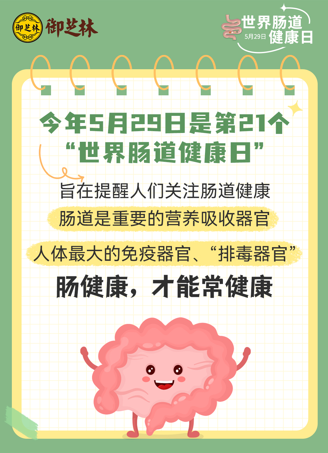 健康生活肠道护理,肠道护理的注意事项
