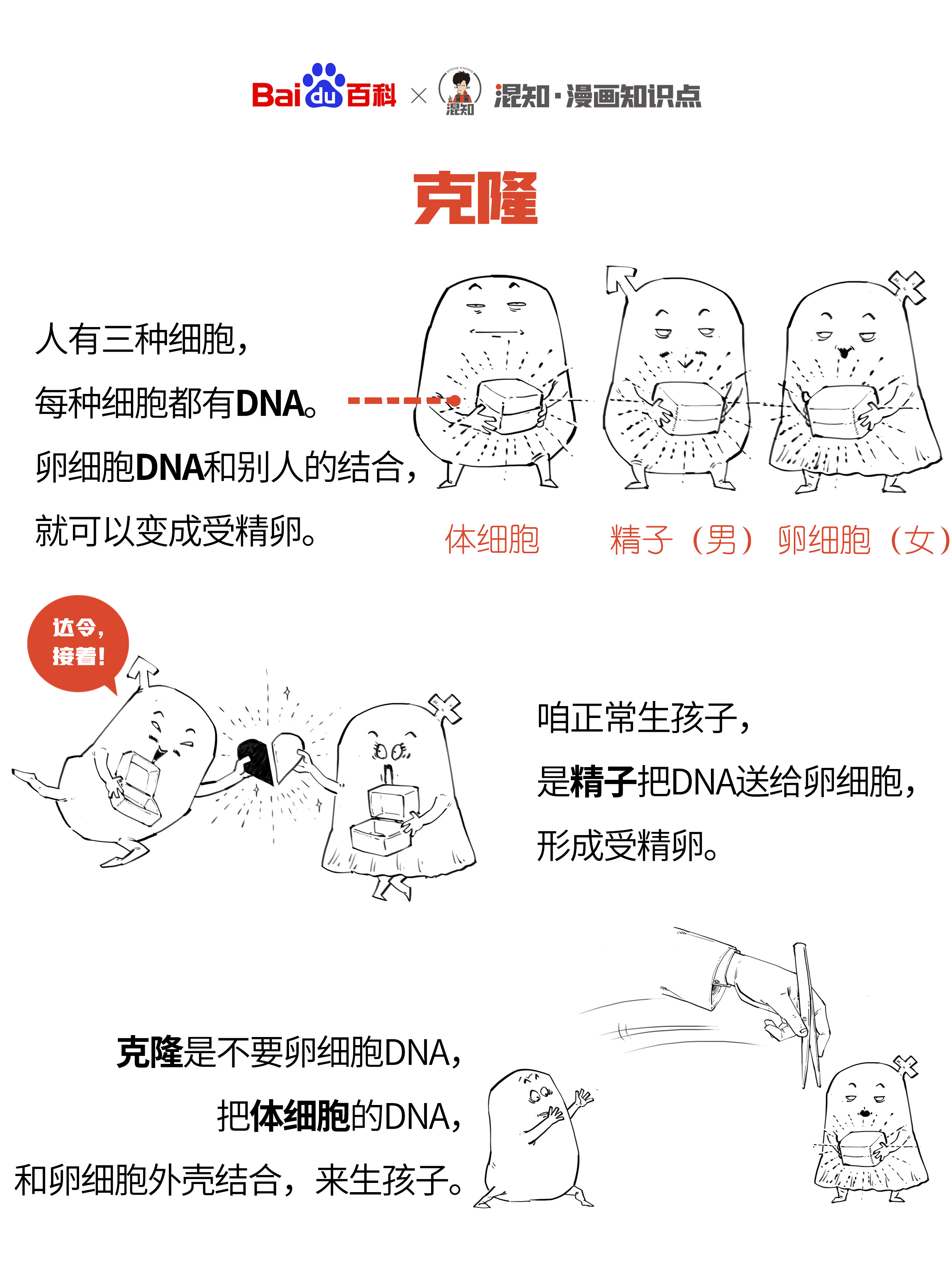 生命科学的三种手段是,生命科学的100个基本问题 生命科学的三种手段是,生命科学的100个基本问题