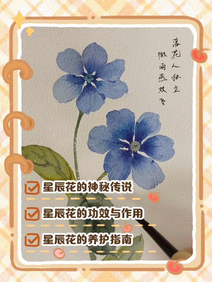 花天文科普插画,插画师三脚小猫签售
