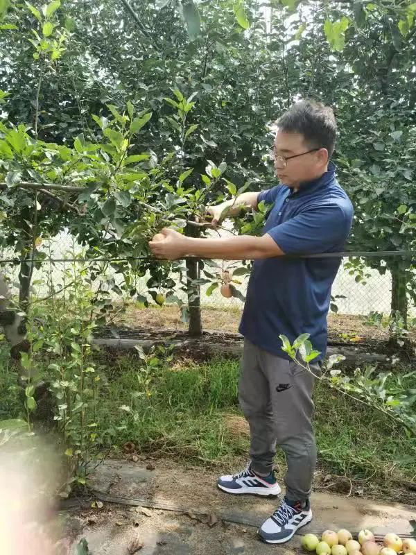地球科学部优青结果,地球科学部专项项目第一期科技计划项目什么时候公示