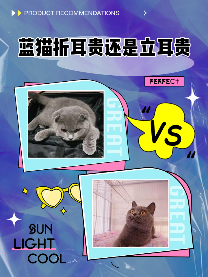 蓝猫天文科普,蓝猫航天篇cctv 蓝猫天文科普,蓝猫航天篇cctv