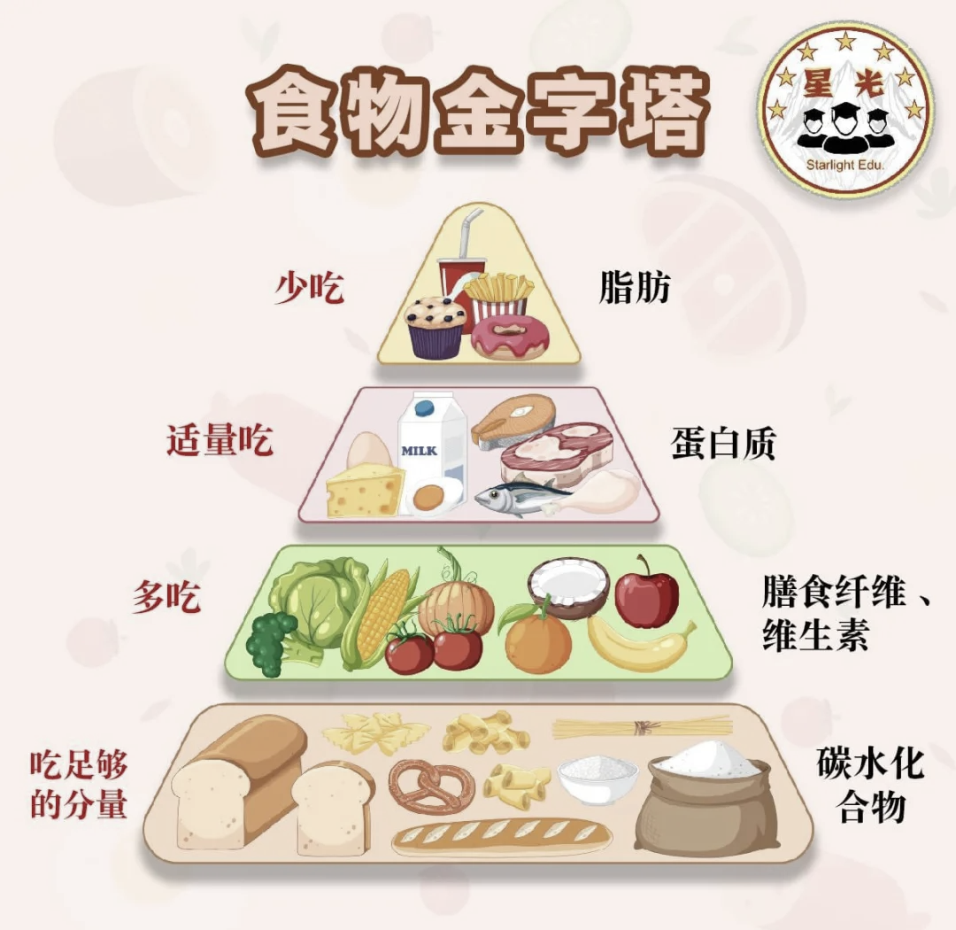 健康生活饮食食谱书,健康饮食搭配食谱大全