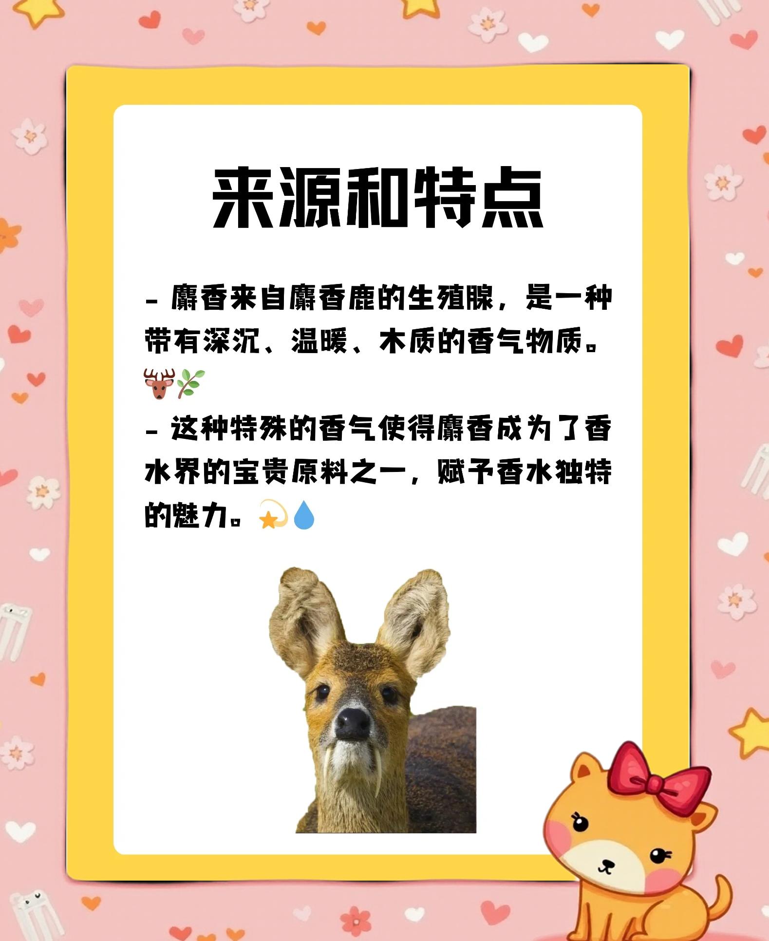 麝香的科技前沿,天然麝香和人工麝香的药效区别