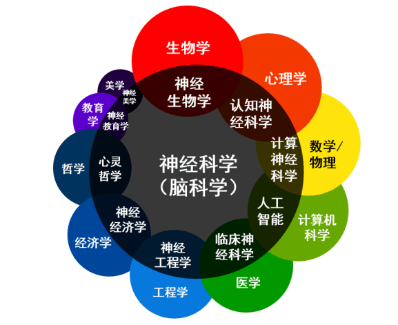 生命科学四元系统,生命四元素电子书pdf