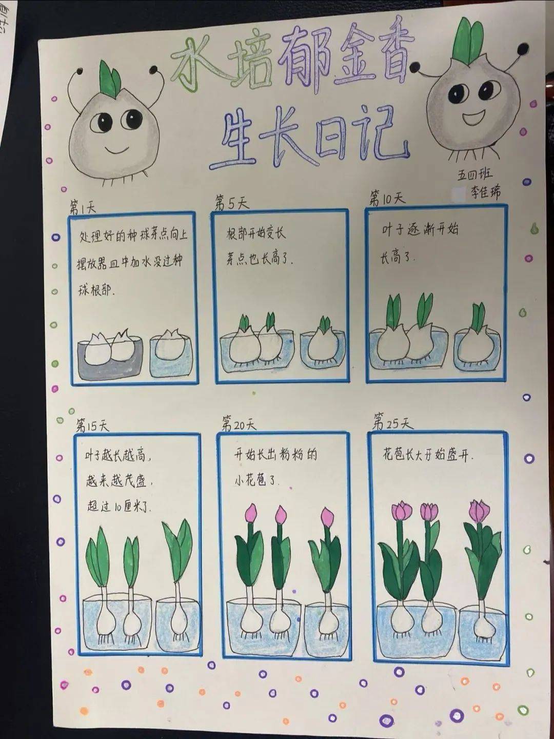 生命科学作品一年级,一年级科技绘画作品图片大全