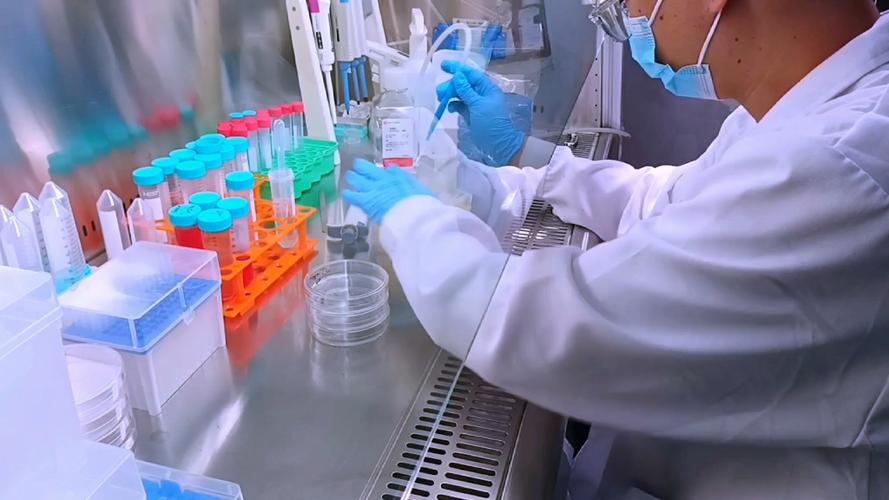 生命科学院细胞实验,细胞生物学实验室简介 生命科学院细胞实验,细胞生物学实验室简介