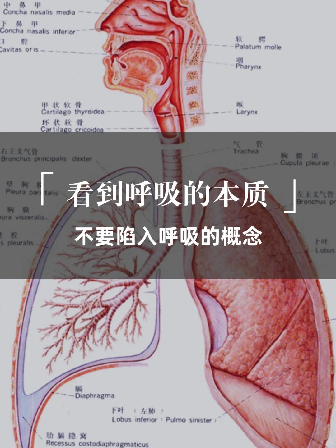 厌氧产气系统生命科学的简单介绍