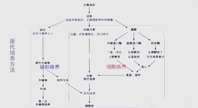 生命科学答辩流程图,医学实验流程图怎么画