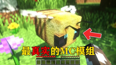 世界物理模组,我的世界物理模组专业版