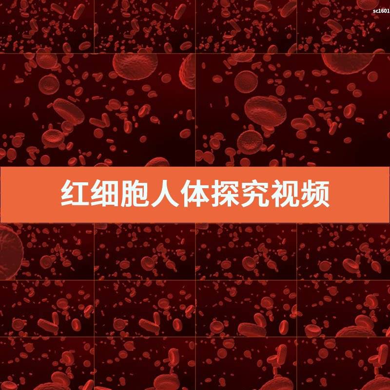 包含科技前沿信息小视频的词条