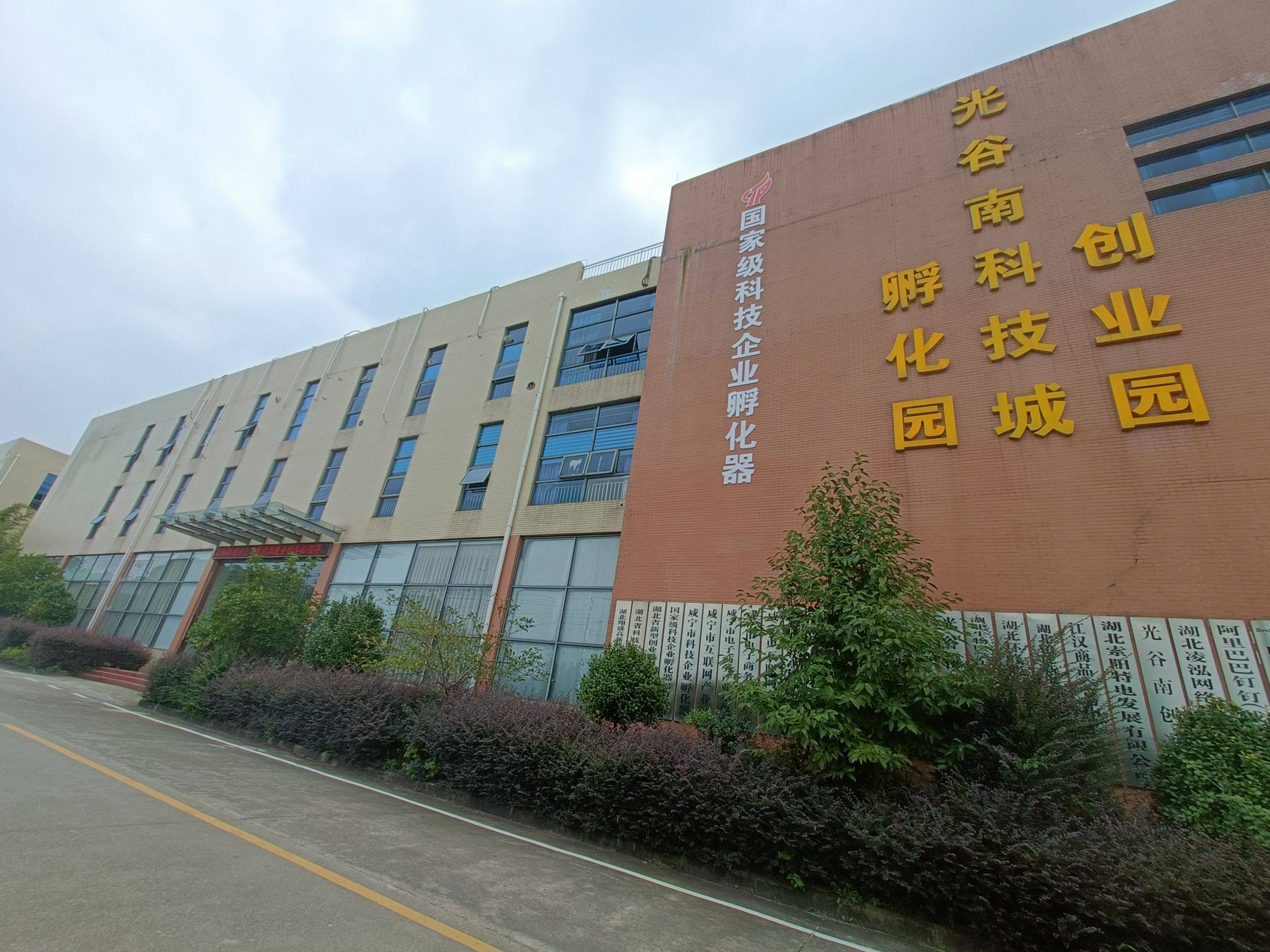 光谷科技前沿企业,光谷十大科技公司排名