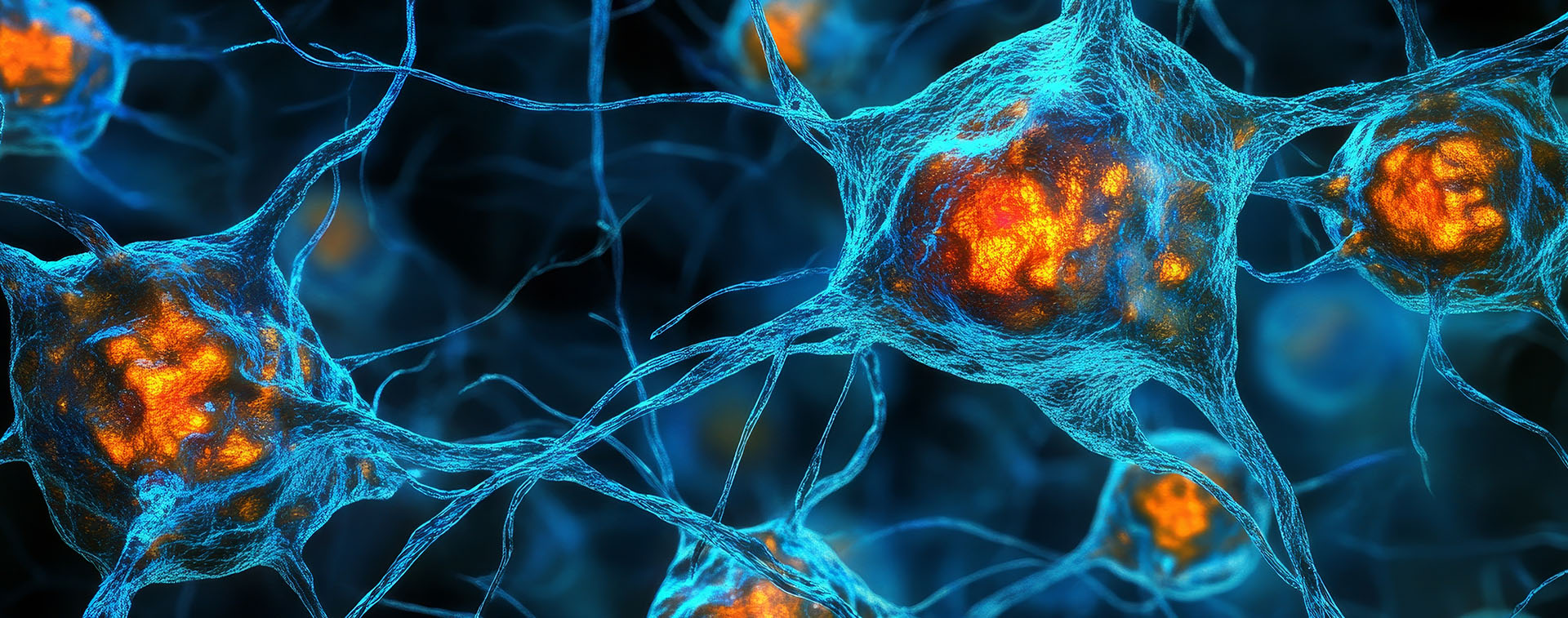 生命科学生物技术工程,生命科学生物工程专业做什么工作最适合 生命科学生物技术工程,生命科学生物工程专业做什么工作最适合