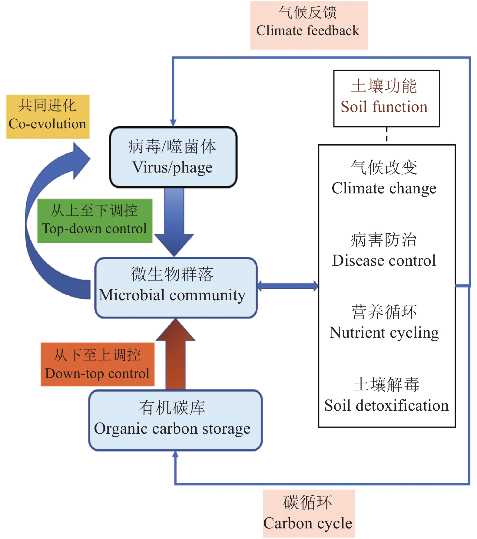 非生命科学的分支,非生物部分包括哪三类