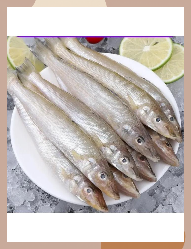 小鱼健康生活记录,人体结构几何体速写