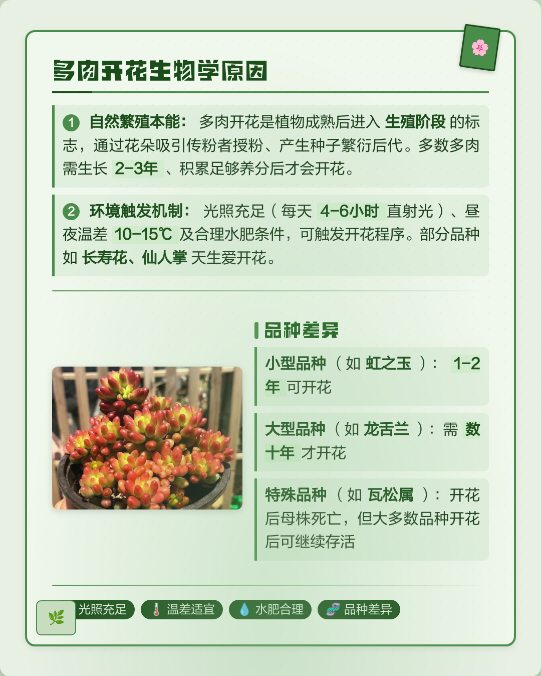 多肉算不算生命科学,多肉算不算生命科学植物