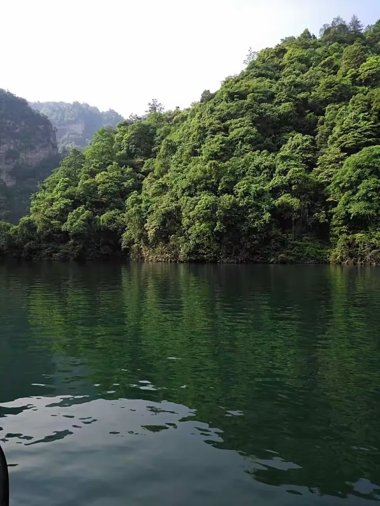 健康生活自驾游,真实的自驾旅居生活