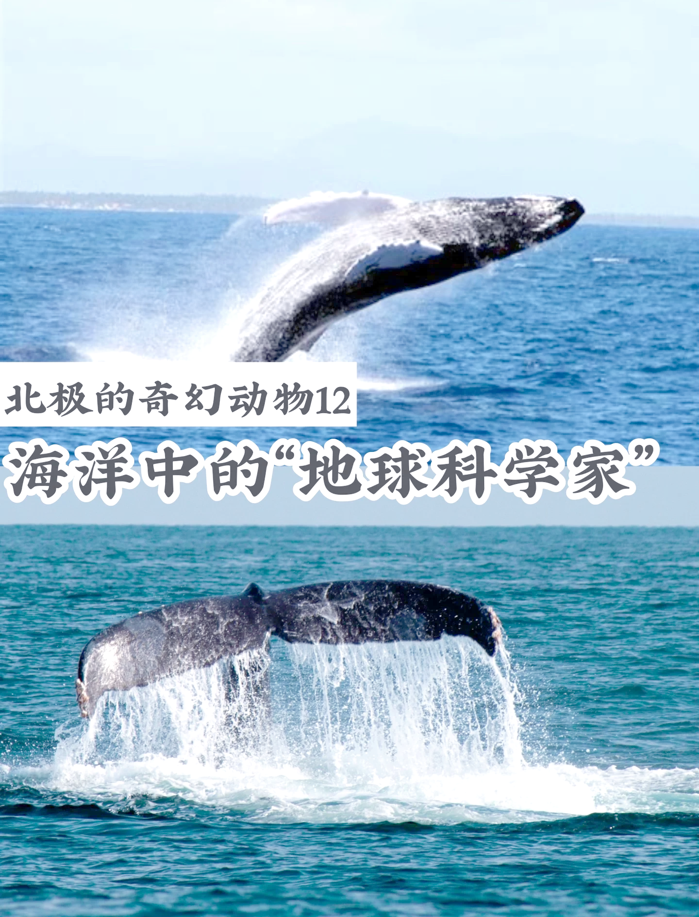 地球科学家隐瞒的秘密,地球科学家隐瞒的秘密有哪些