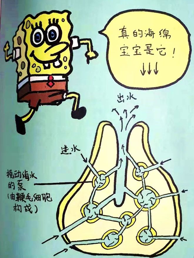 孩子想知道的生命科学,孩子想知道的生命科学是什么