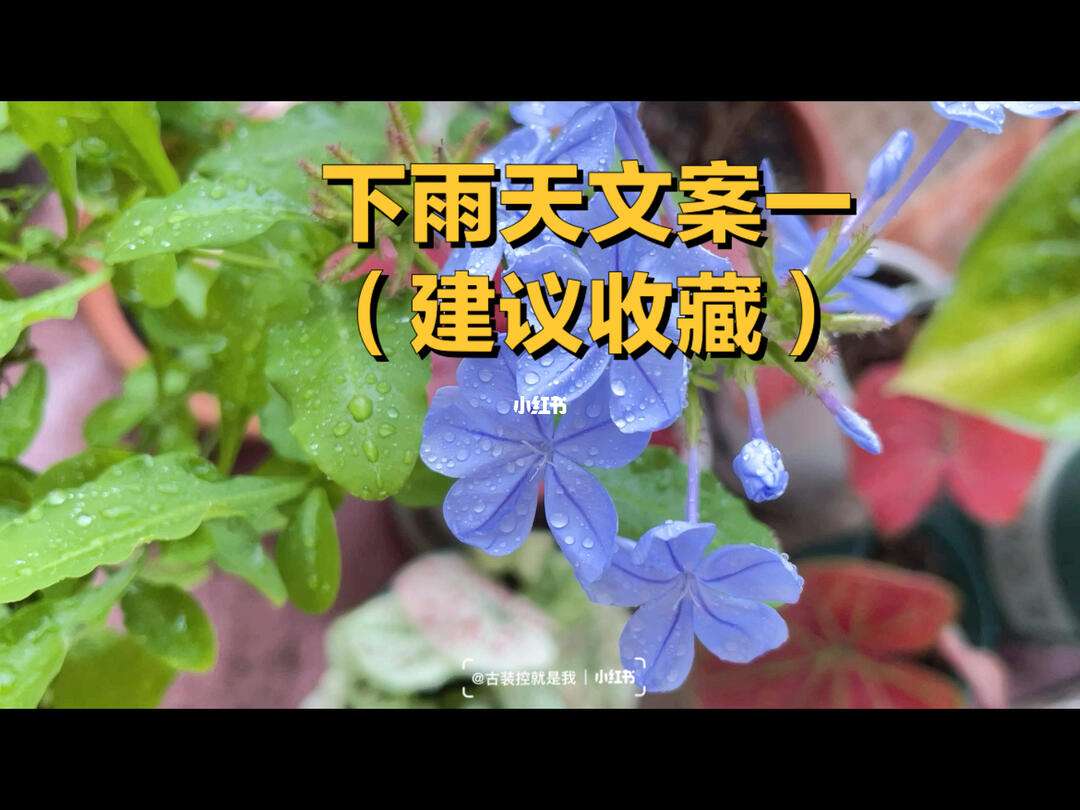 探索下雨天文案简短,被诈骗报案材料怎么写样本 探索下雨天文案简短,被诈骗报案材料怎么写样本