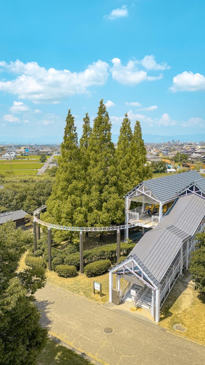 日本生命科学园,生命科学日本专业优势