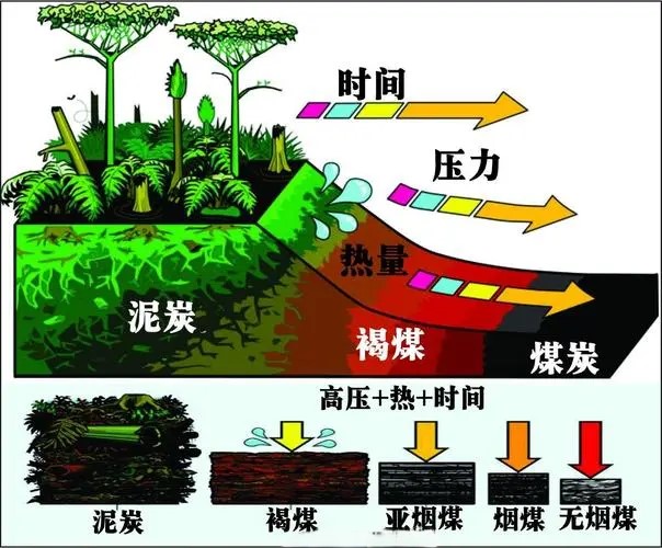 地球科学馆煤与煤炭,煤与煤层气综合利用全国重点实验室 地球科学馆煤与煤炭,煤与煤层气综合利用全国重点实验室