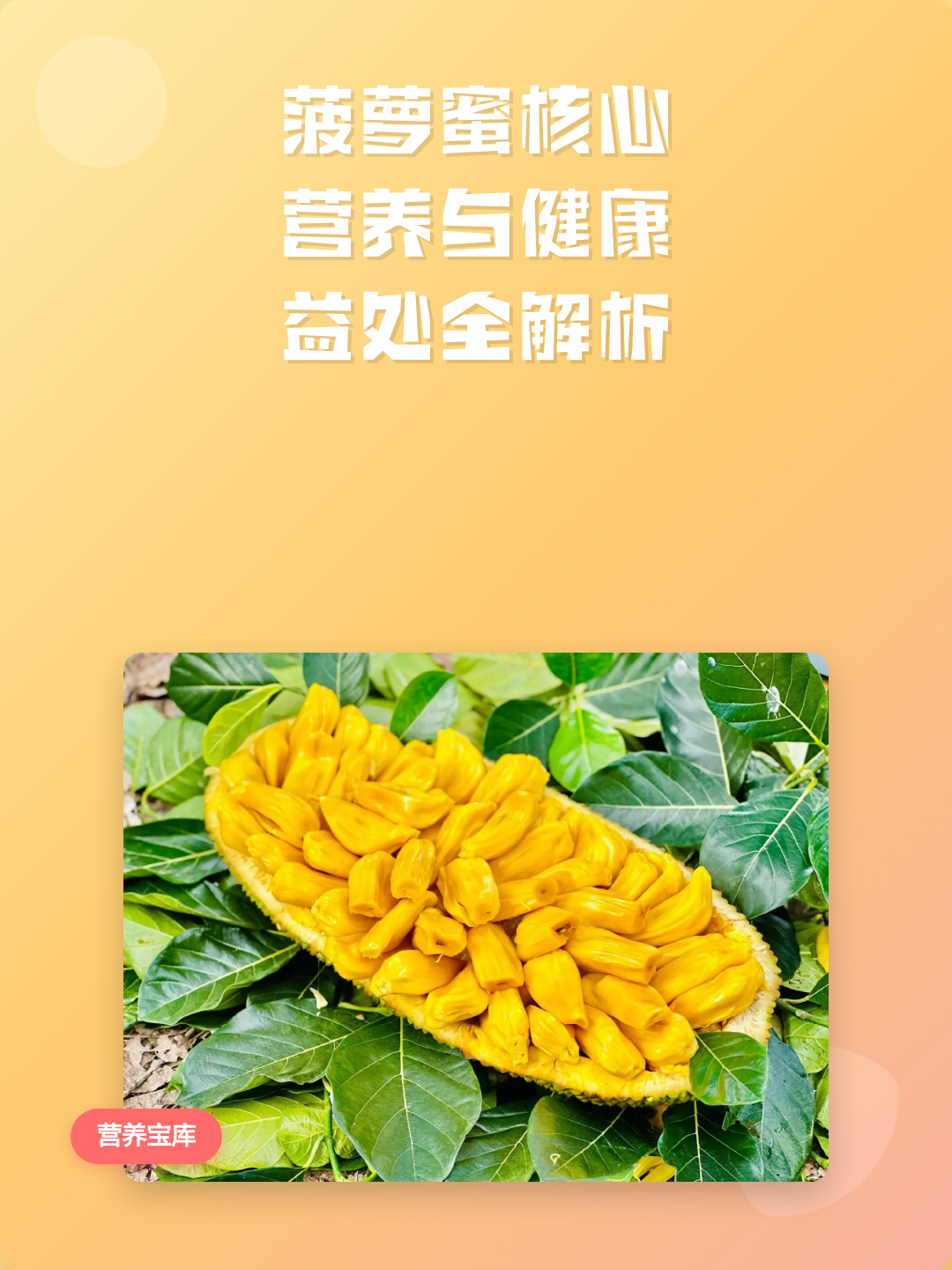 健康生活的菠萝蜜,菠萝蜜的作用是什么 健康生活的菠萝蜜,菠萝蜜的作用是什么