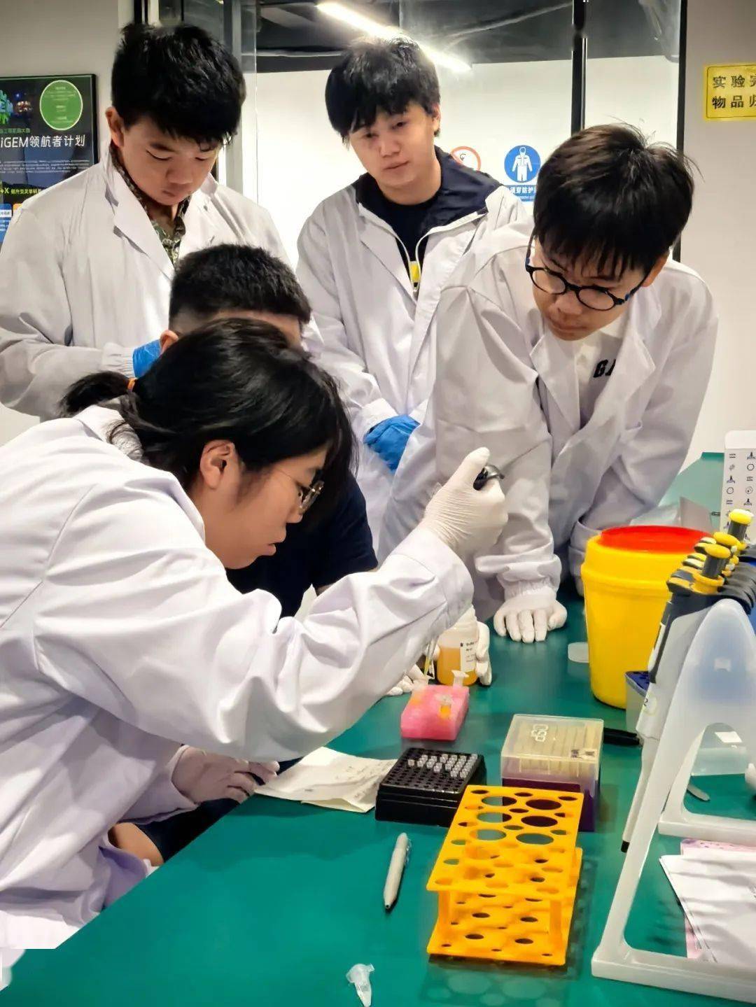 展望生命科学新世纪,展望生命科学新世纪作文