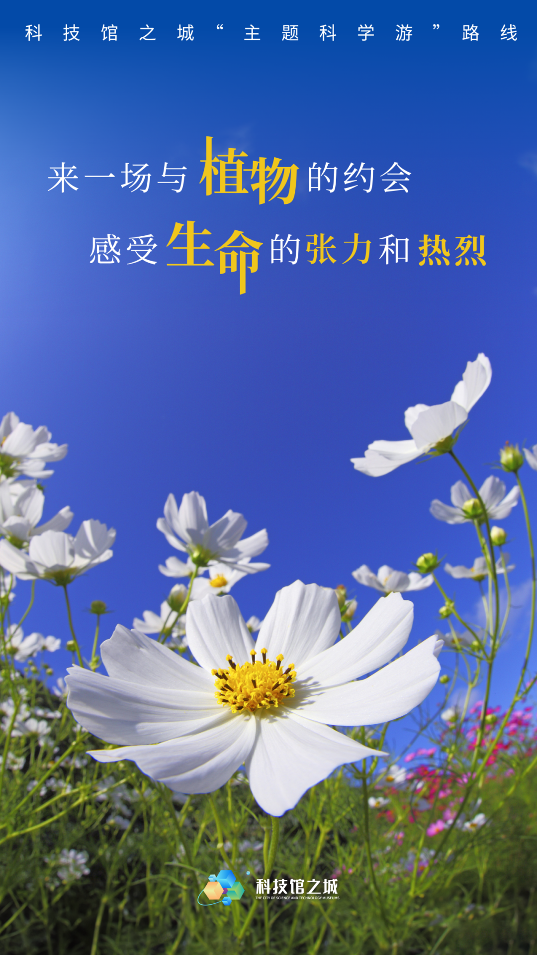 展望生命科学新世纪,展望生命科学新世纪作文 展望生命科学新世纪,展望生命科学新世纪作文