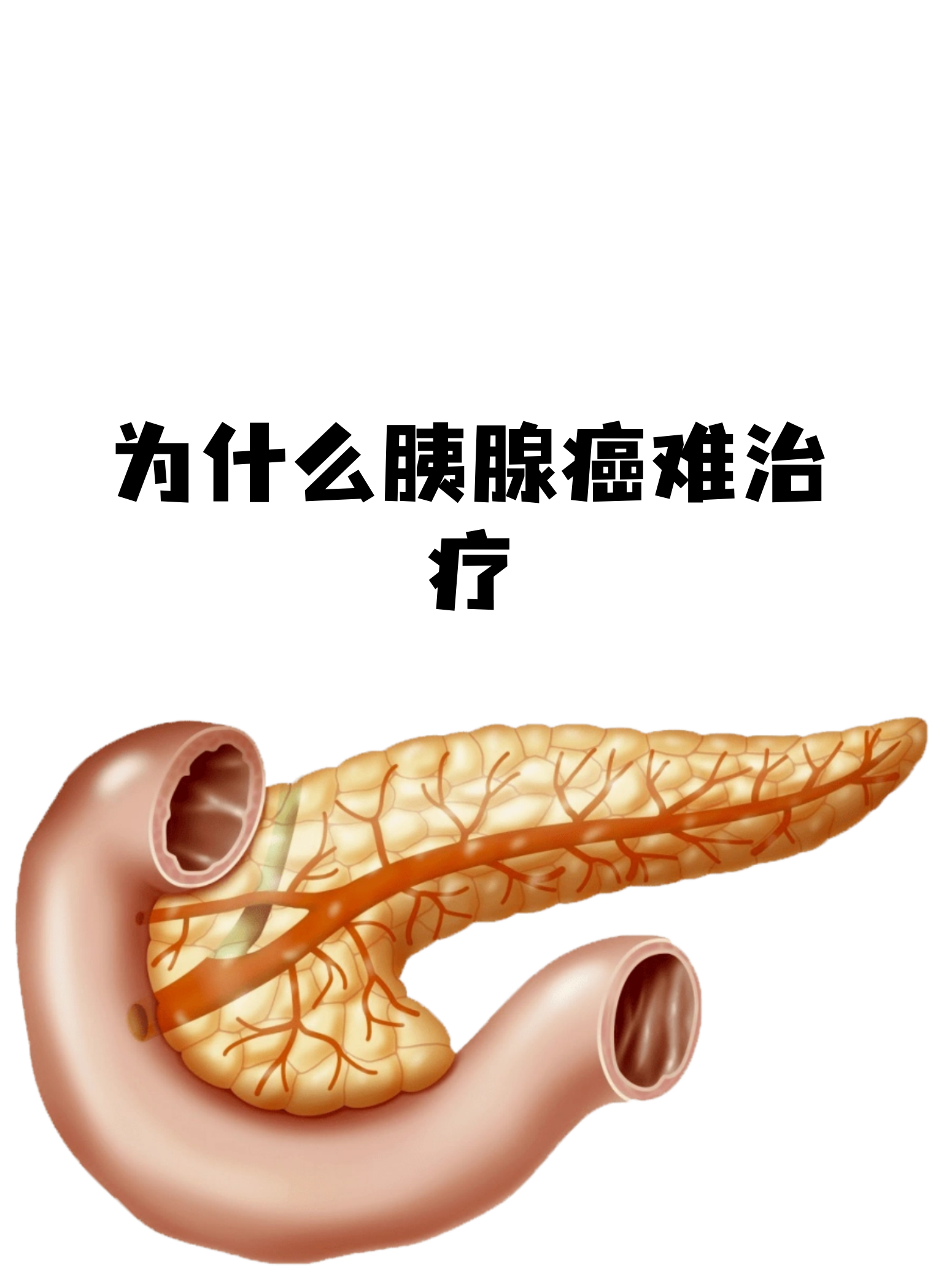 生命科学医学绘画,生命科学和医学研究