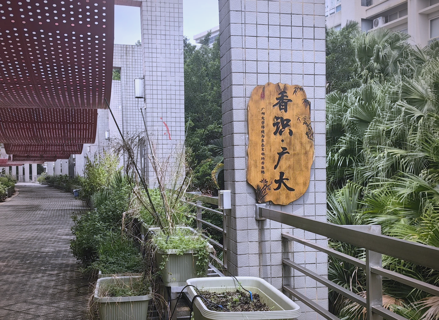 夏大生命科学学院,厦大的生命科学学院在哪个宿舍