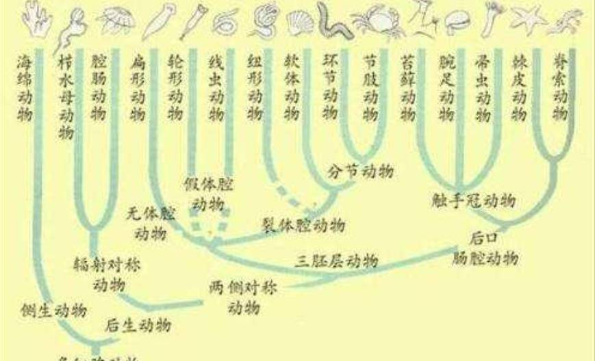 地球科学衍生科目,地球科学类专业有哪些 地球科学衍生科目,地球科学类专业有哪些