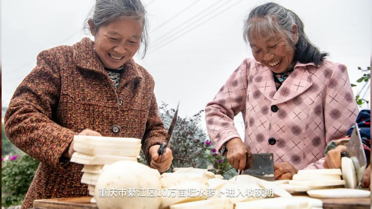 黔乡姊妹的健康生活方式的简单介绍 黔乡姊妹的健康生活方式的简单介绍