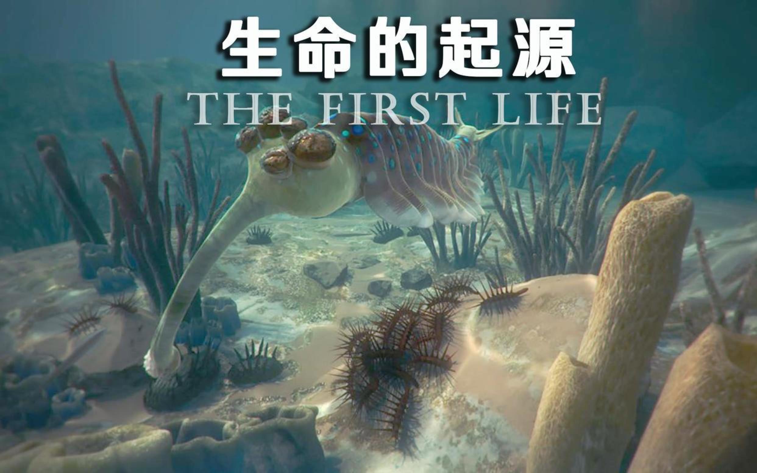 地球科学的未解之谜,地球未解之谜跟玄学神秘学