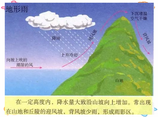 天文科普下大雨,大雨在天气预报上是什么样的