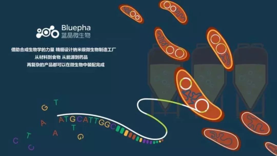 生命科学概论pre是讲什么,生命科学导论张惟杰第三版pdf